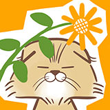 向日葵あーすけ